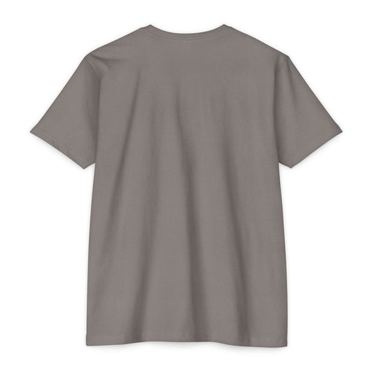 Stone Gray t-shirt on a white background - Henosis Apparel virtue-based clothing
