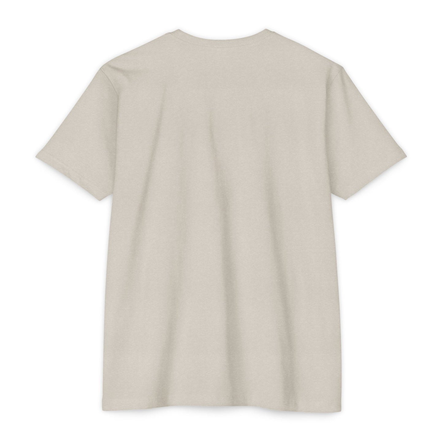 Henosis Check Yourself virtue checklist t-shirt, Bella 3001, CVC sand, back